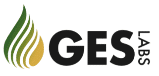 Logo_GESLabs