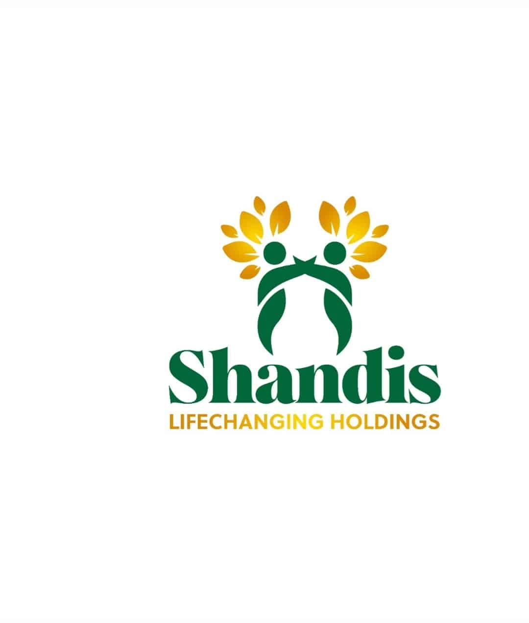 Shandis logo